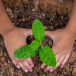 港式粤语系列课程