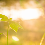 照片素材集合 (网站) (1)