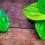 照片素材集合 (网站)